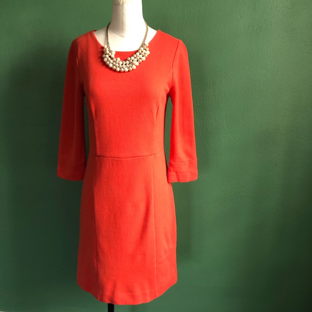 Burnt Orange Banana Republic Dress